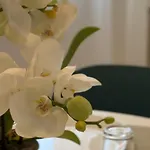 Apart-hotel Residence Sanremo Sanremo