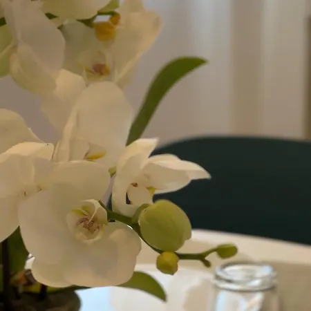 Apartmanhotel Residence Sanremo San Remo