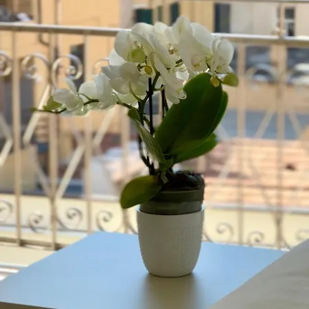 Residence Sanremo 3*